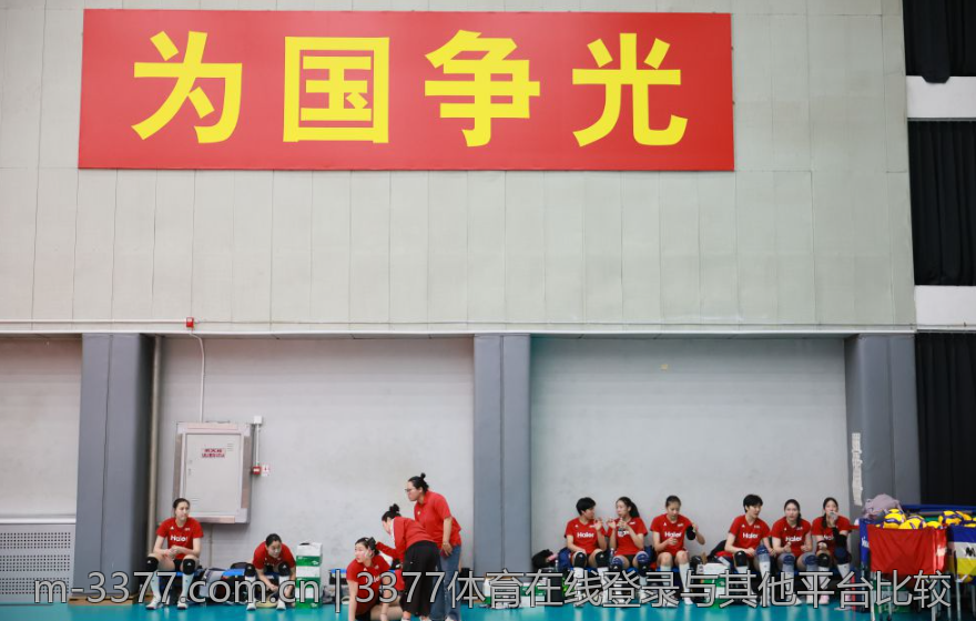 3377体育在线登录与其他平台比较