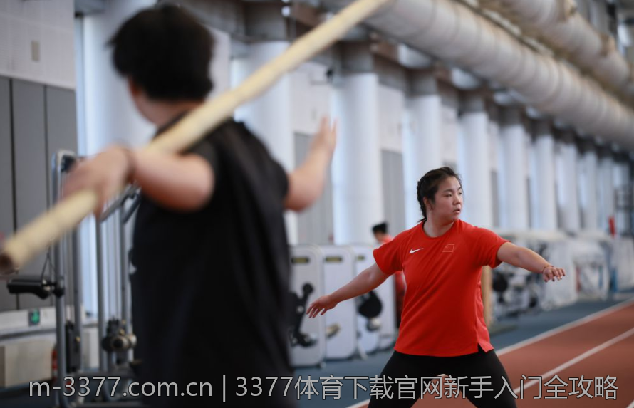 3377体育下载官网新手入门全攻略