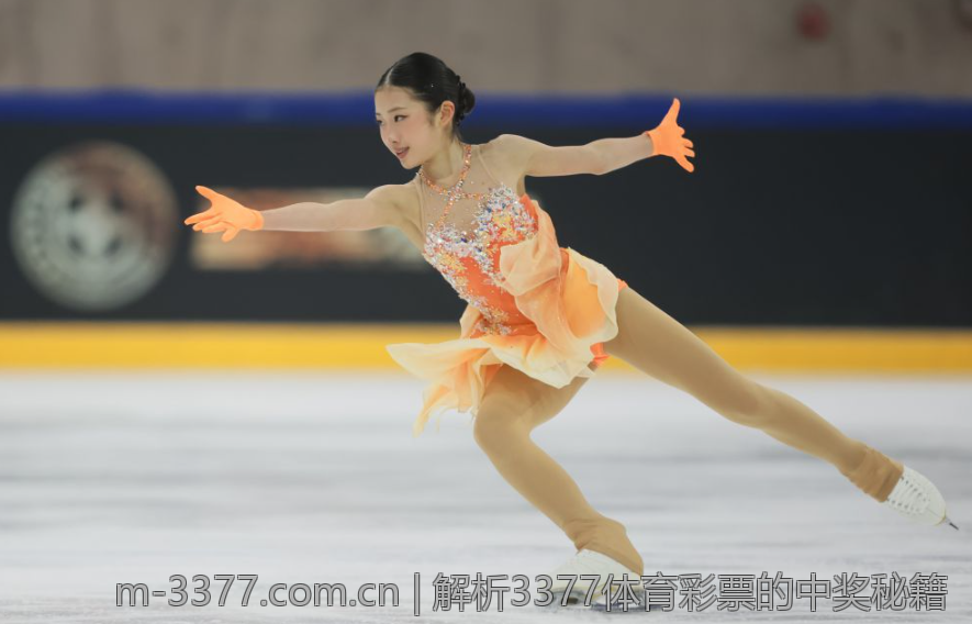 解析3377体育彩票的中奖秘籍