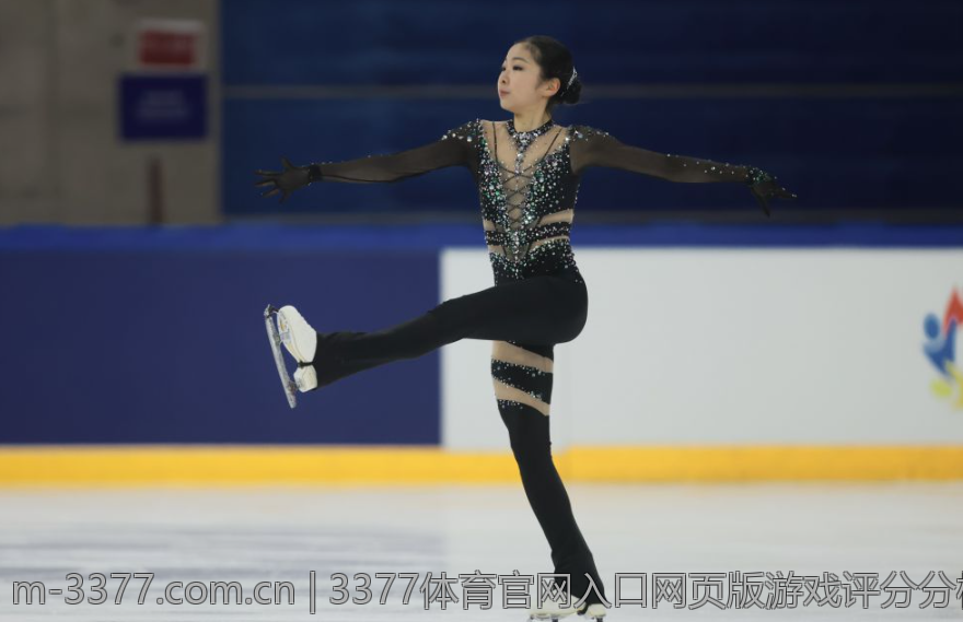 3377体育官网入口网页版游戏评分分析