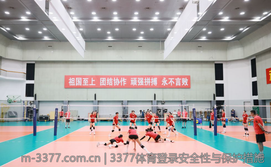 3377体育平台助力新手玩家快速上手