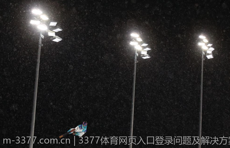 3377体育网页入口登录问题及解决方案