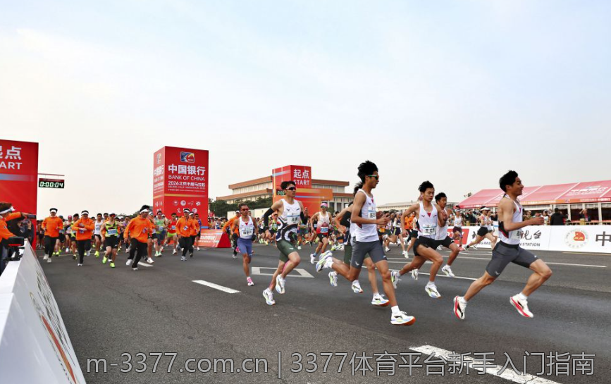 3377体育平台新手入门指南